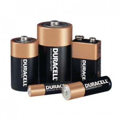 Duracell MN16RT4Z CopperTop Alkaline Batteries with DuraLock Power Preserve Technology